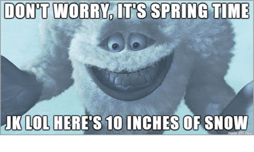 Image result for spring meme